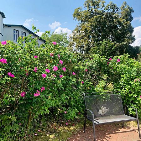 Ferienhaus Erika Heringsdorf  Exteriör bild