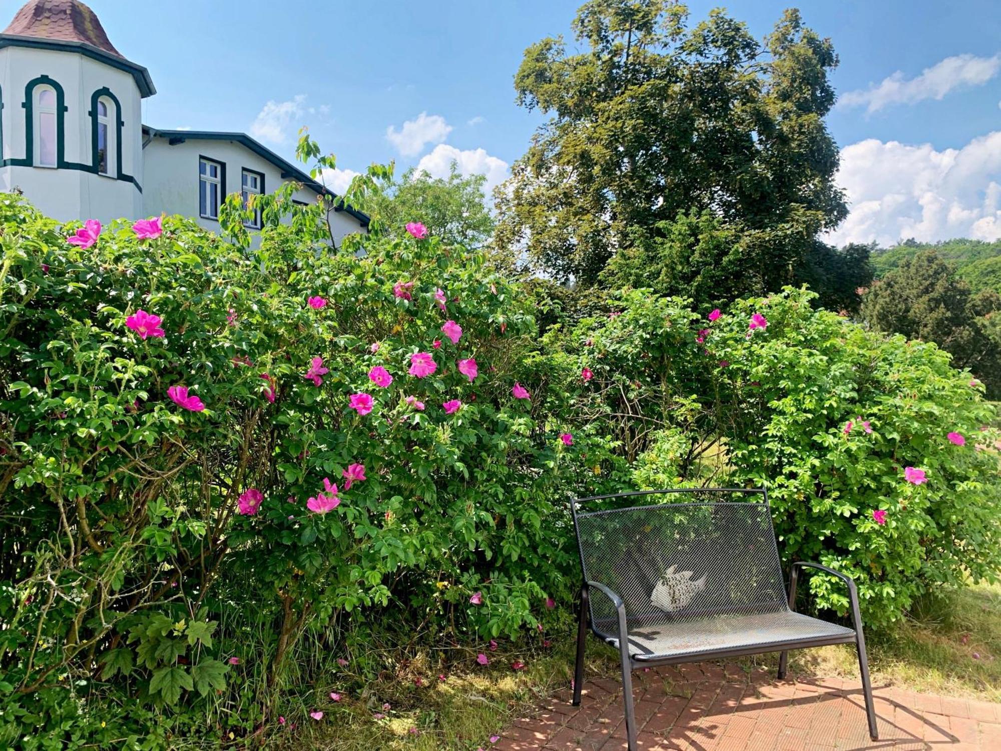 Ferienhaus Erika Heringsdorf  Exteriör bild